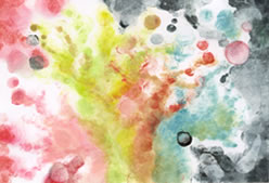 ���������E�n�앶�w�@�}�C�E�V�[�Y���Y